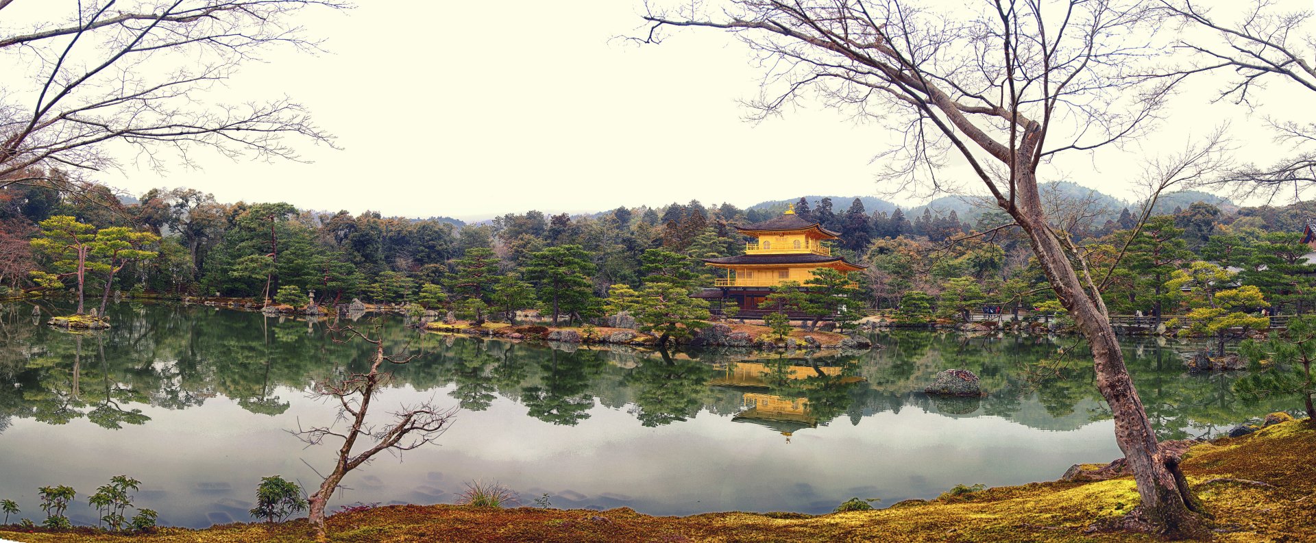 金閣寺 – Temple of the Golden Pavilion Panorama
