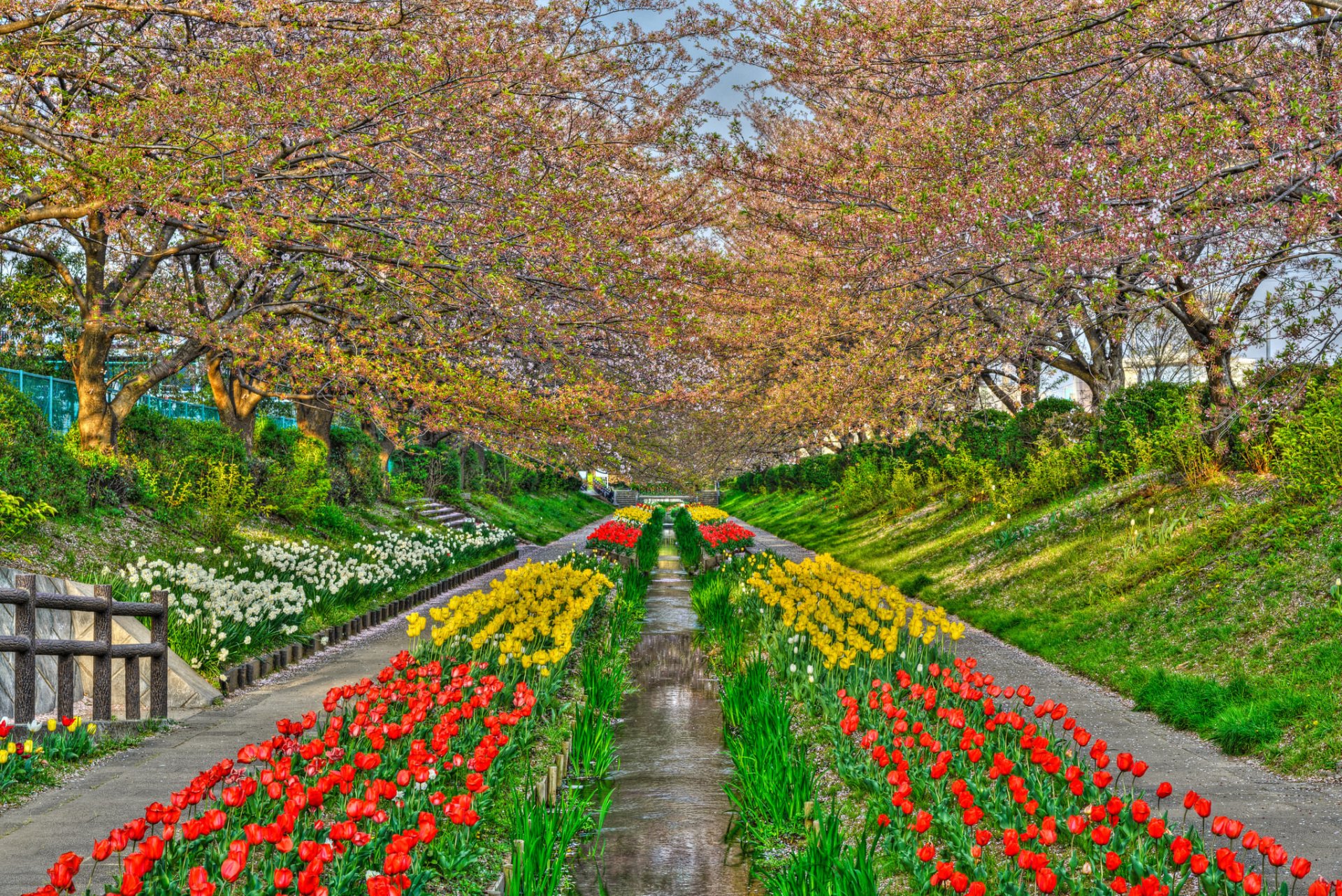 Spring Park in Japan