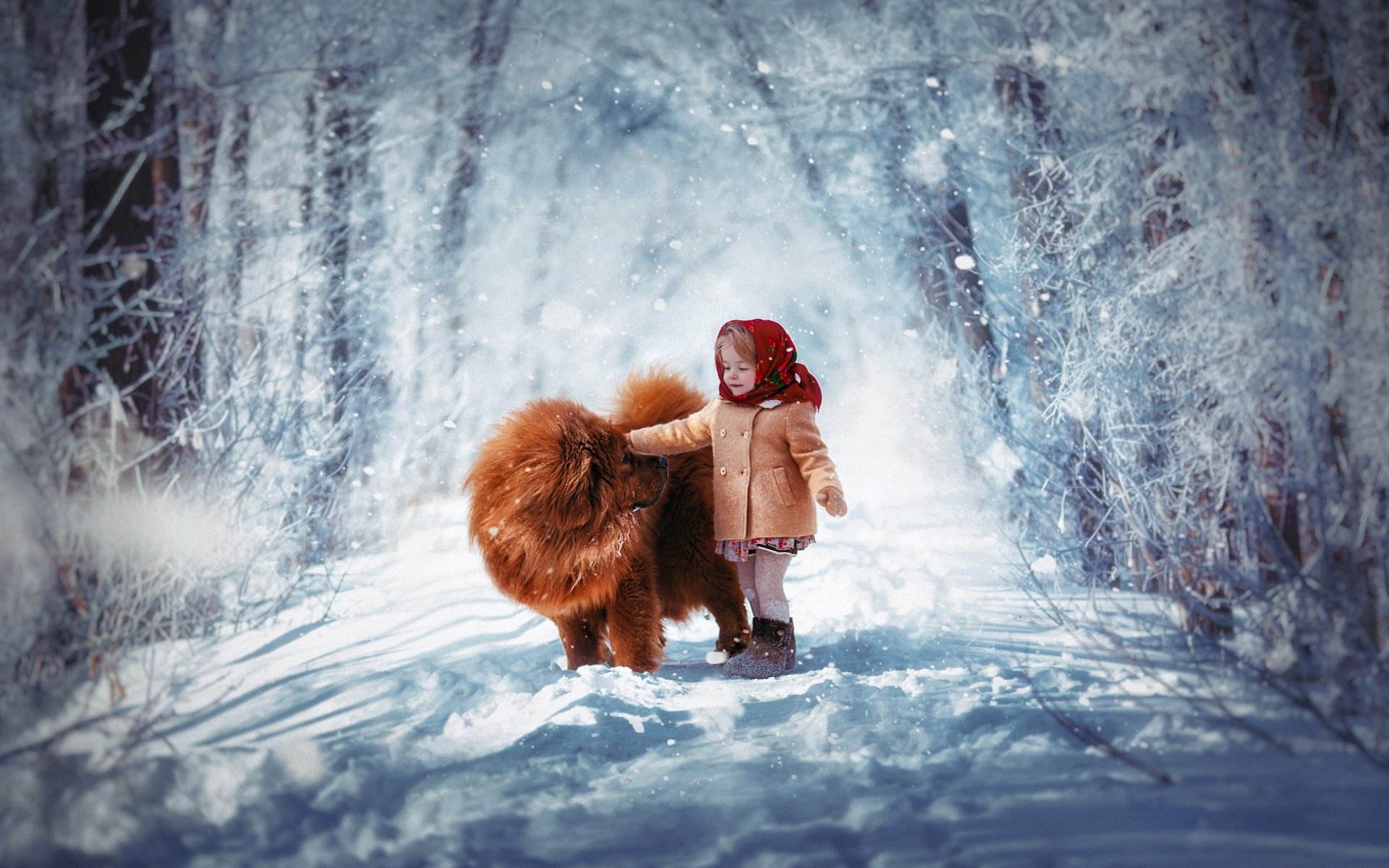 Little Girl and Chow Chow in the Snow